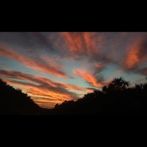 Meet your Posher, Gianna